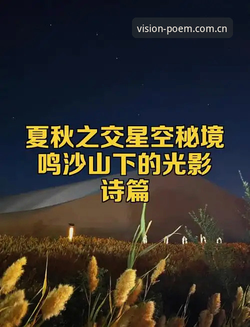 星空体育官网 vs 一代人的视觉诗篇官网：两个入口的选择逻辑与体验差异